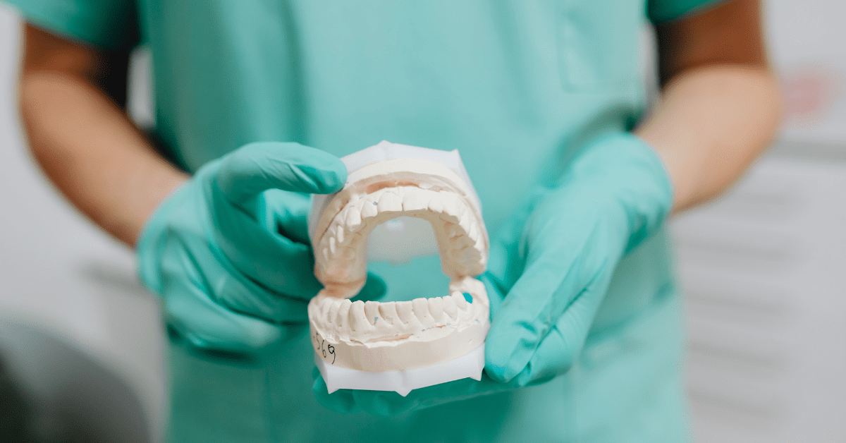 Gloved dental professional holding a dental model of upper and lower teeth